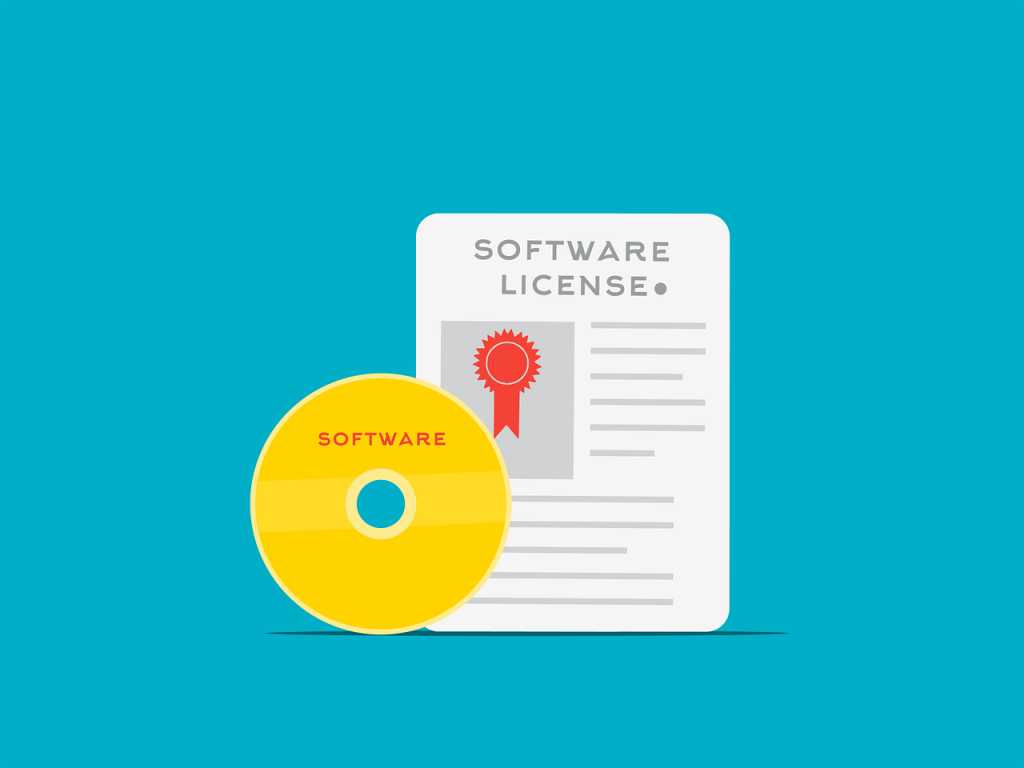 Software Licensing