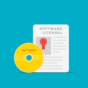 Software Licensing